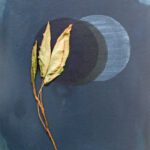 Wandlungen Objekt 1 50 x 40 cm 2022 w