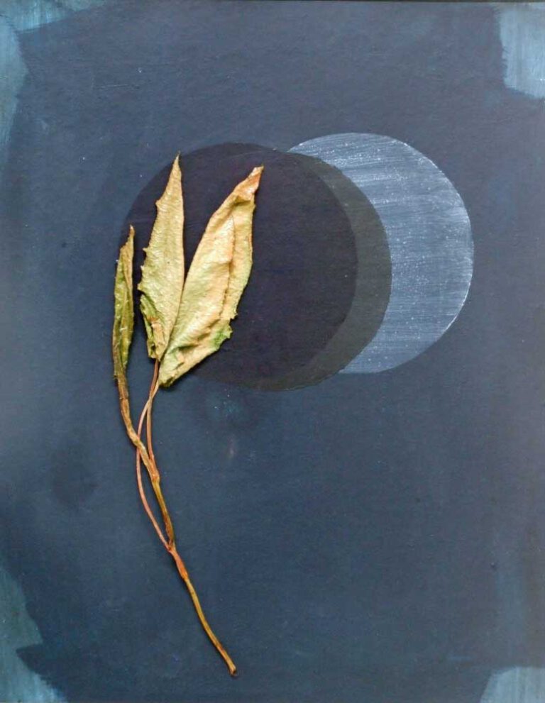 Wandlungen Objekt 1 50 x 40 cm 2022 w