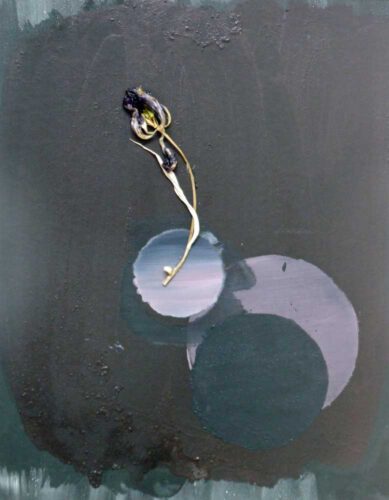 Wandlungen Objekt 2 50 x 60 cm 2022 w
