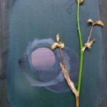 Wandlungen Objekt 5 50 x 40 cm 2022 w