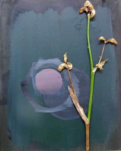 Wandlungen Objekt 5 50 x 40 cm 2022 w