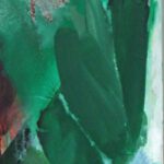 Plantares 25-11-2 30x80 cm 2025